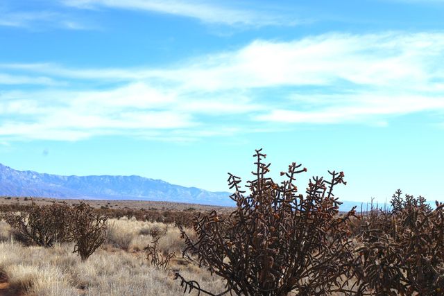 Lot 23, 24, 25 Rio Rancho Estates NE, Rio Rancho, NM 87144