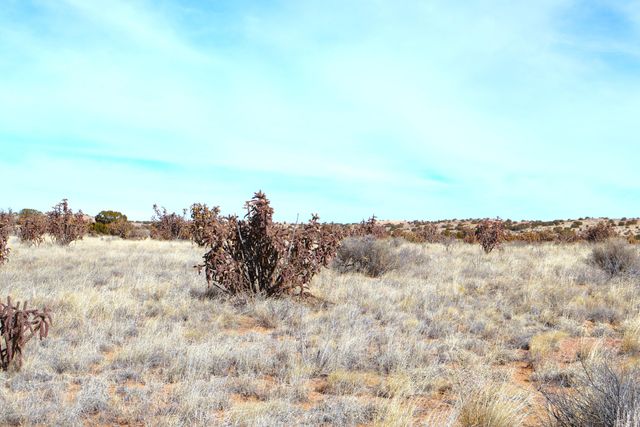 Lot 23, 24, 25 Rio Rancho Estates NE, Rio Rancho, NM 87144