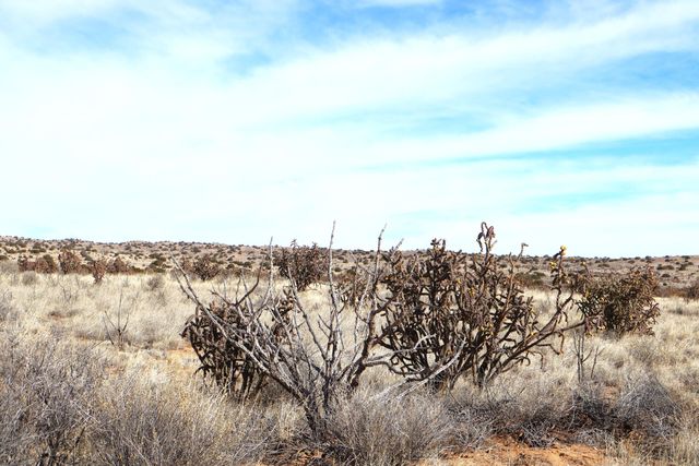 Lot 23, 24, 25 Rio Rancho Estates NE, Rio Rancho, NM 87144