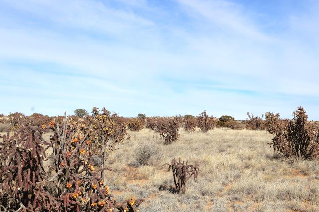 Lot 23, 24, 25 Rio Rancho Estates NE, Rio Rancho, NM 87144