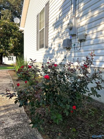 2482 Barnes Drive, Hokes Bluff, AL 35903