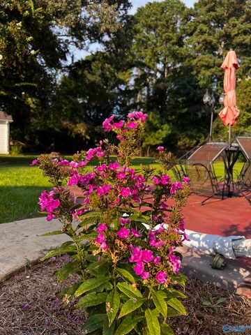 2482 Barnes Drive, Hokes Bluff, AL 35903