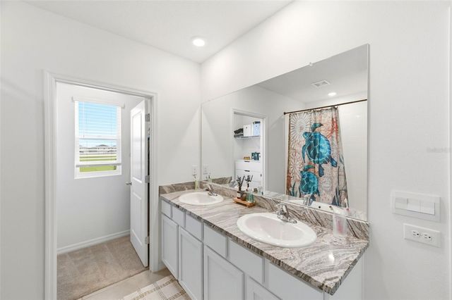 8210 DOLPHIN BLUFF BOULEVARD, Wesley Chapel, FL 33545