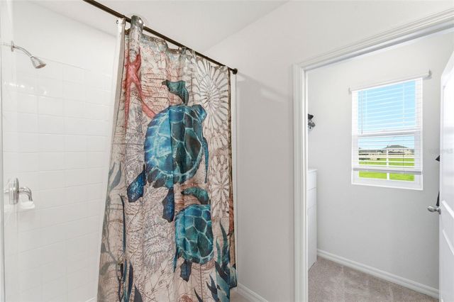 8210 DOLPHIN BLUFF BOULEVARD, Wesley Chapel, FL 33545
