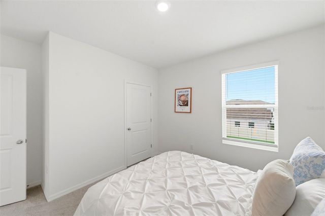 8210 DOLPHIN BLUFF BOULEVARD, Wesley Chapel, FL 33545
