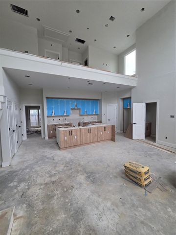 1207 Collier Street, Houston, TX 77023