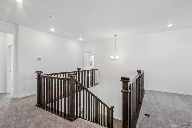 9210 Gold Lace Place, Highlands Ranch, CO 80129