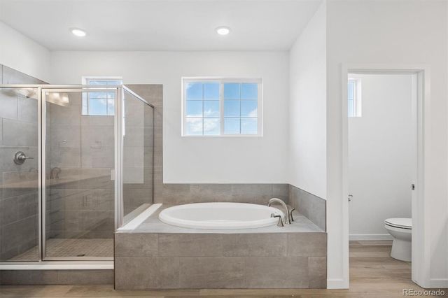 9210 Gold Lace Place, Highlands Ranch, CO 80129