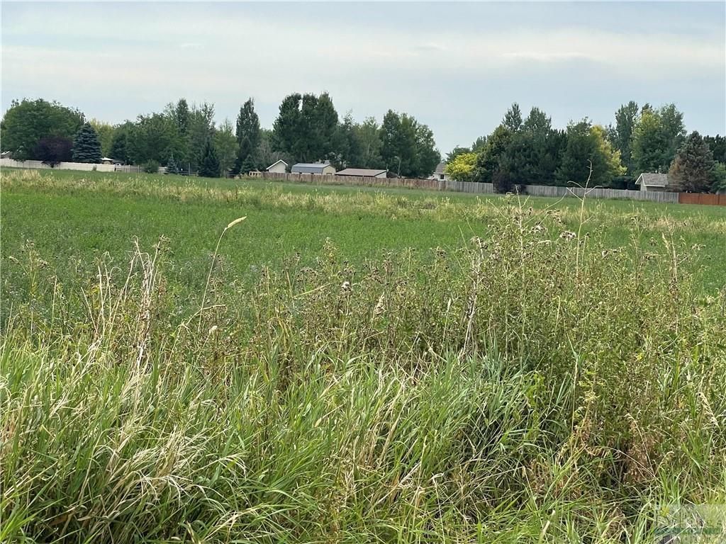 1019 52nd STREET W, Billings, MT 59106 photo 10