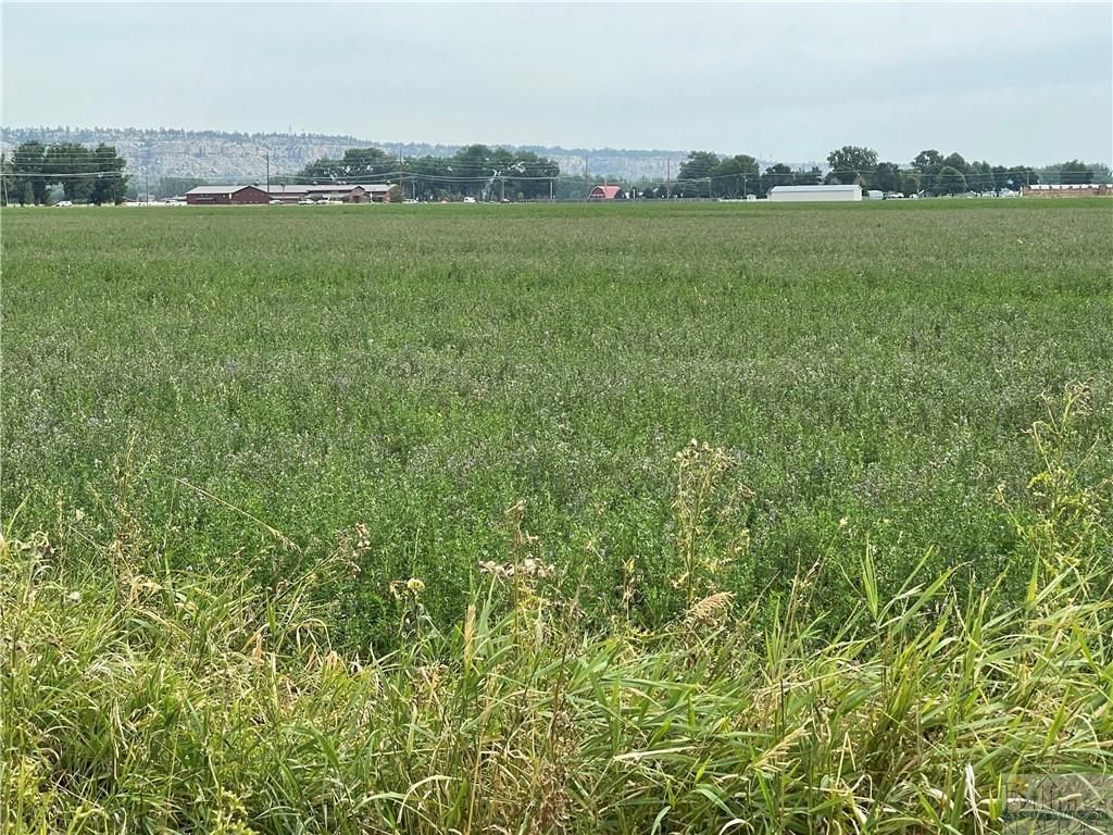 1019 52nd STREET W, Billings, MT 59106 photo 7