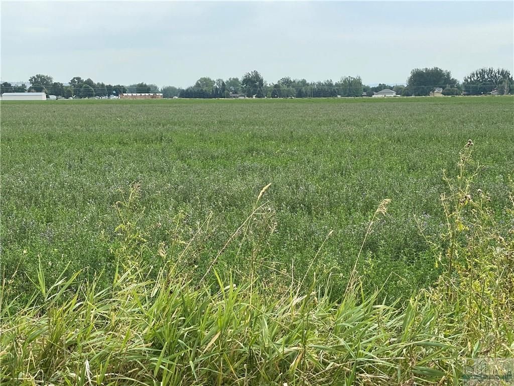 1019 52nd STREET W, Billings, MT 59106 photo 8