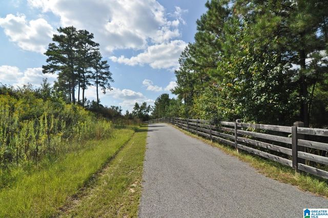 1035 WILTSHIRE LANE, Helena, AL 35080