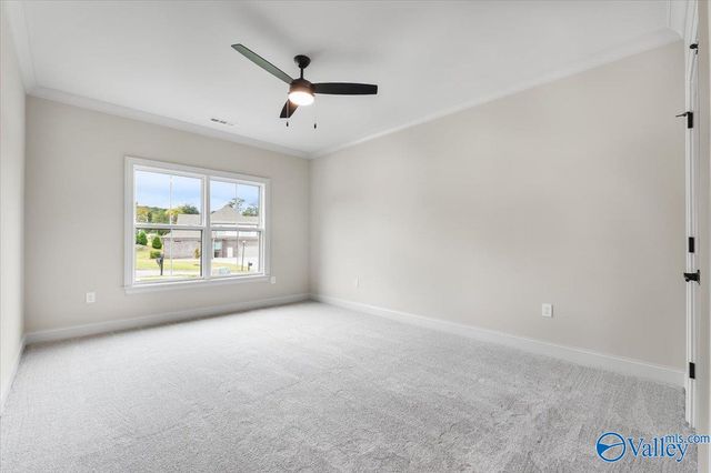 100 Hickory Gap Trail, Madison, AL 35758