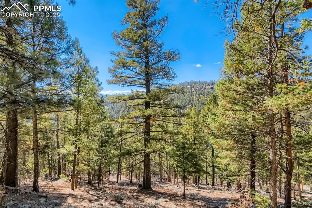 0 Elsie Road, Conifer, CO 80433 — exterior