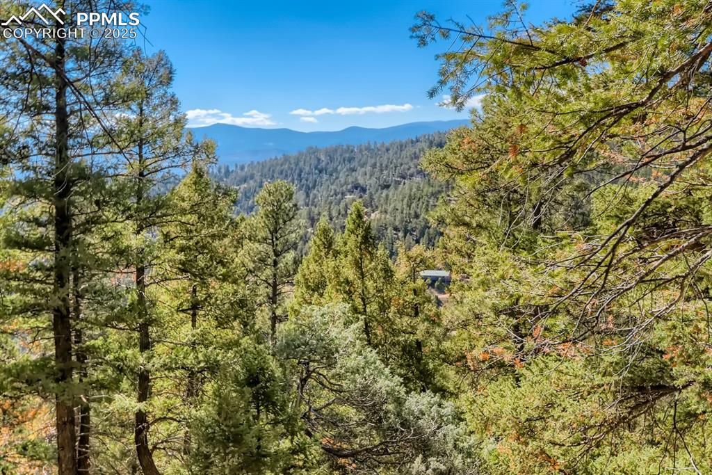 0 Elsie Road, Conifer, CO 80433 — photo 2