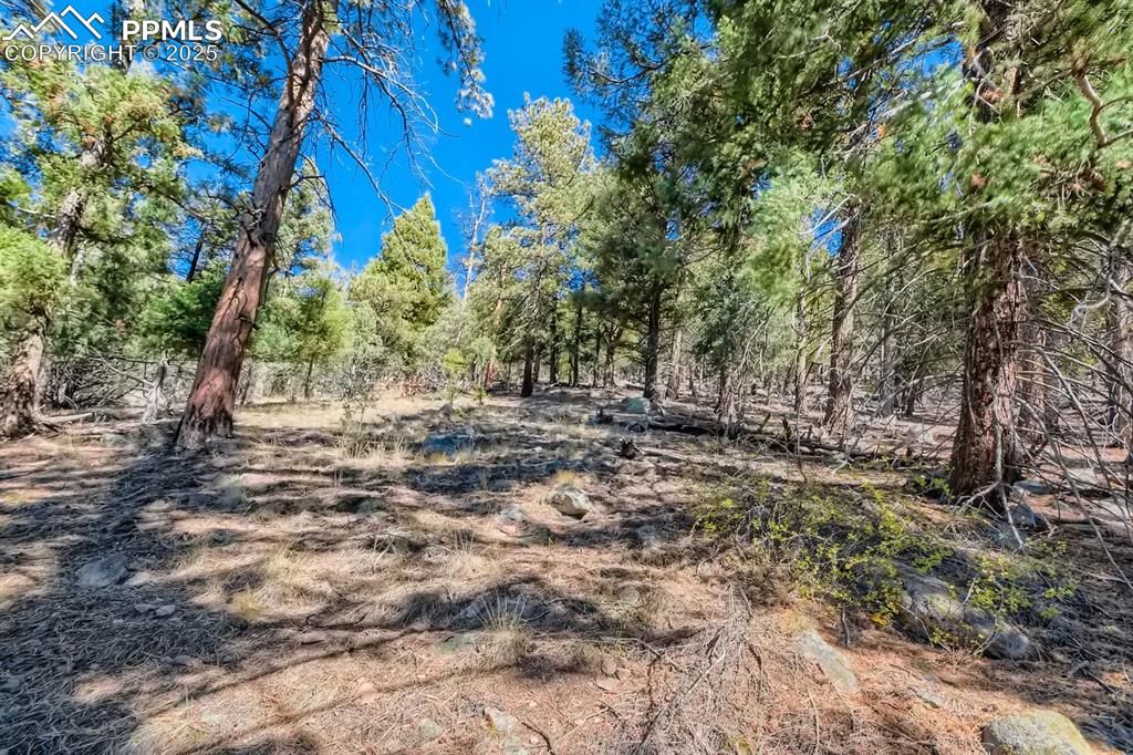 0 Elsie Road, Conifer, CO 80433 — photo 4