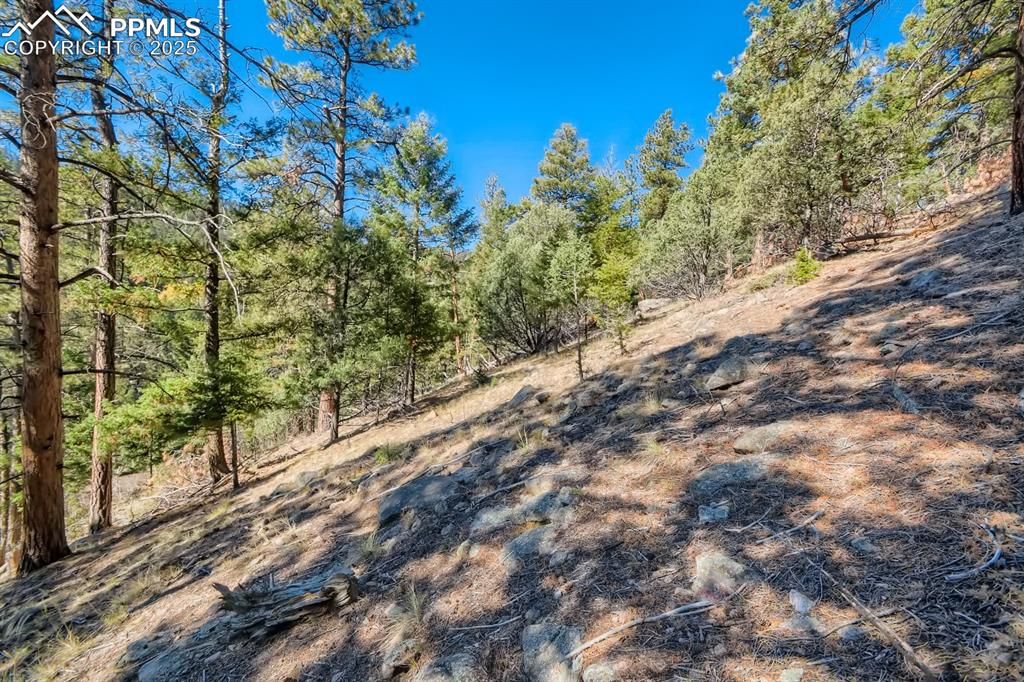 0 Elsie Road, Conifer, CO 80433 — photo 5