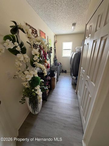 15294 Taralane Avenue, Brooksville, FL 34604