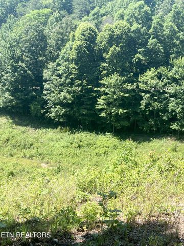 Street Place Loop, Monterey, TN 38574