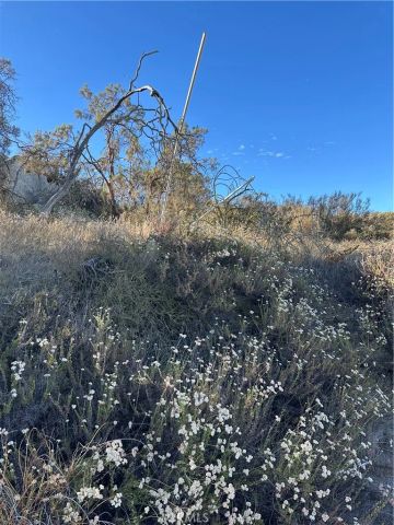0 Minto, Hemet, CA 92544