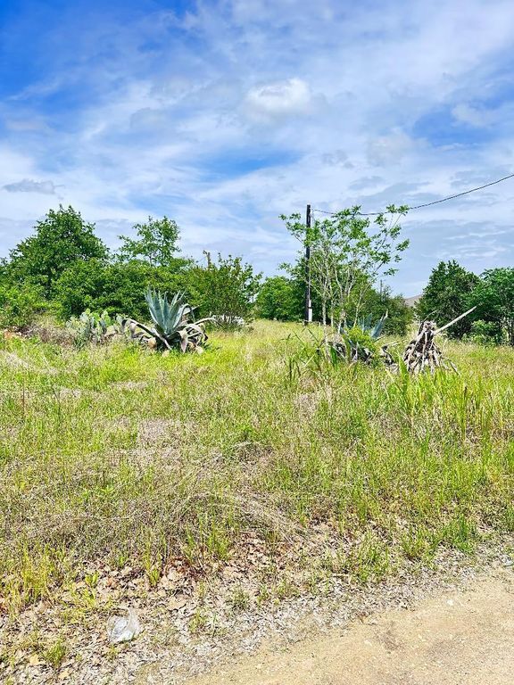 126 Wild Bird LOOP, Smithville, TX 78957