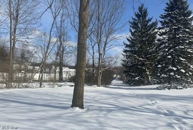 1429 Timberland Lane, Twinsburg, OH 44087