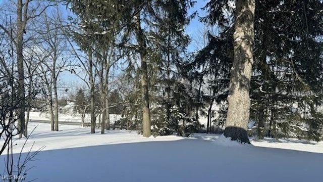 1429 Timberland Lane, Twinsburg, OH 44087