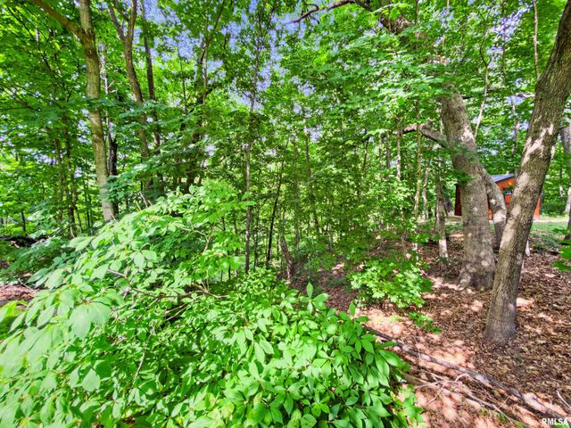 325 LOTUS Drive, Morton, IL 61550
