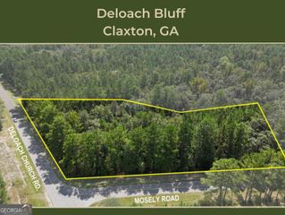4750 Deloach Church Road, Claxton, GA 30417
