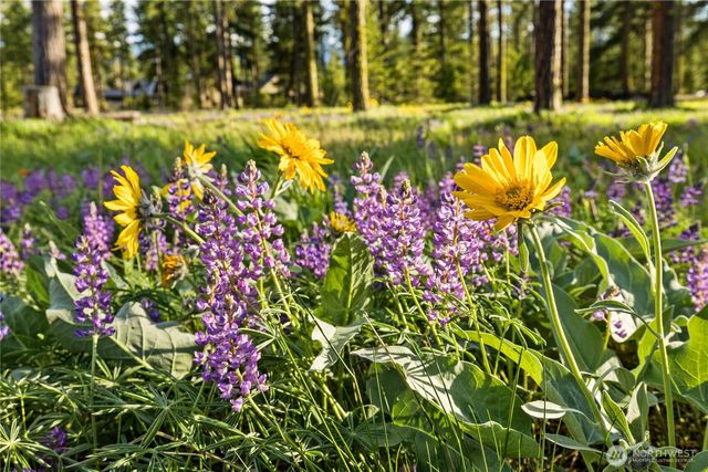29 Wanawish Loop, Cle Elum, WA 98922