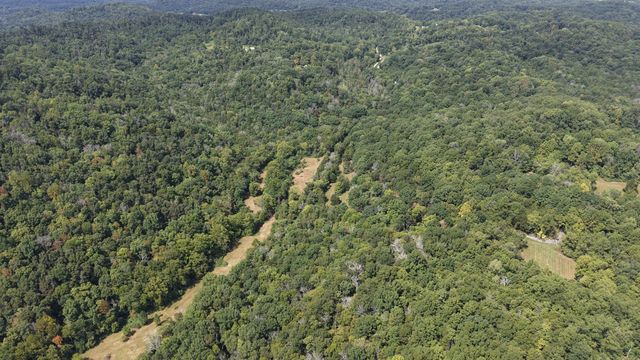 685 Red Tuttle Rd, Bethpage, TN 37022