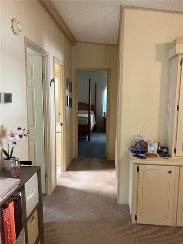 25051 BETTON HILL, Leesburg, FL 34748