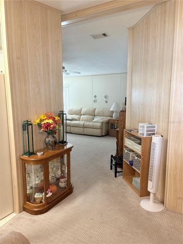 25051 BETTON HILL, Leesburg, FL 34748