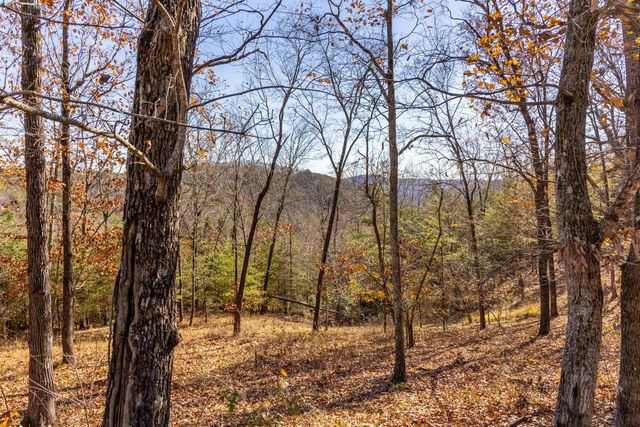 2221 Horizons Drive, Ooltewah, TN 37363