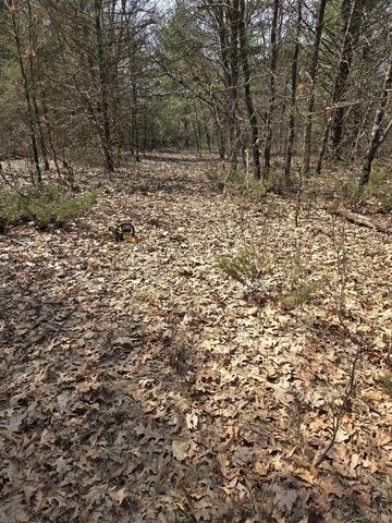 N8604 17th Avenue, Neshkoro, WI 54960