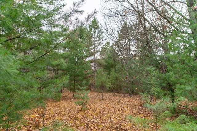 N8604 17th Avenue, Neshkoro, WI 54960