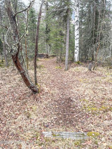 19036 Mountain Point Circle, Eagle River, AK 99577