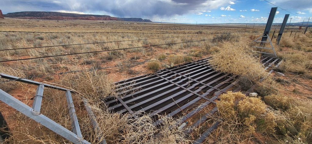 Image 4 of property listing at tbd County Rd. 19, Prewitt, NM 87045