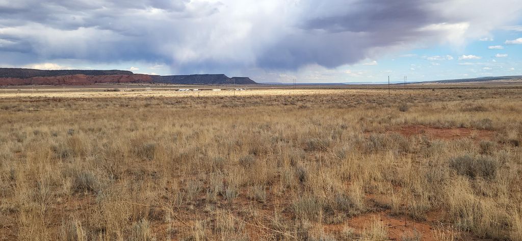 Image 8 of property listing at tbd County Rd. 19, Prewitt, NM 87045