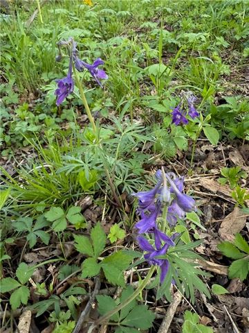 18233 Aberdeen Street, Stilwell, KS 66085