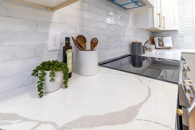 116 Spartanburg Street, Greenville, SC 29607