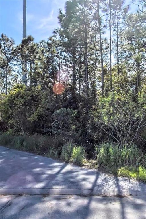 Image 1 of property listing at TBD INTERNATIONAL DRIVE S, Orlando, FL 32821