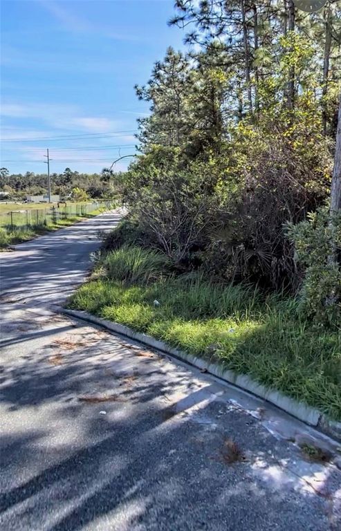 Image 4 of property listing at TBD INTERNATIONAL DRIVE S, Orlando, FL 32821