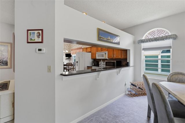 1063 DARTFORD DRIVE, Tarpon Springs, FL 34688