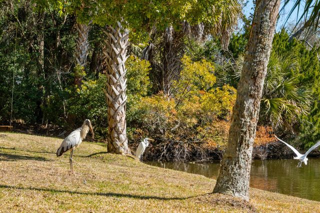6 Sandwedge Lane, Isle Of Palms, SC 29451