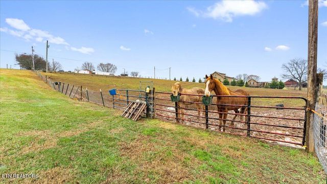 967 Dumplin Valley Rd, Jefferson City, TN 37760