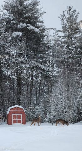 152 Burke Road, Gilmanton, NH 03837