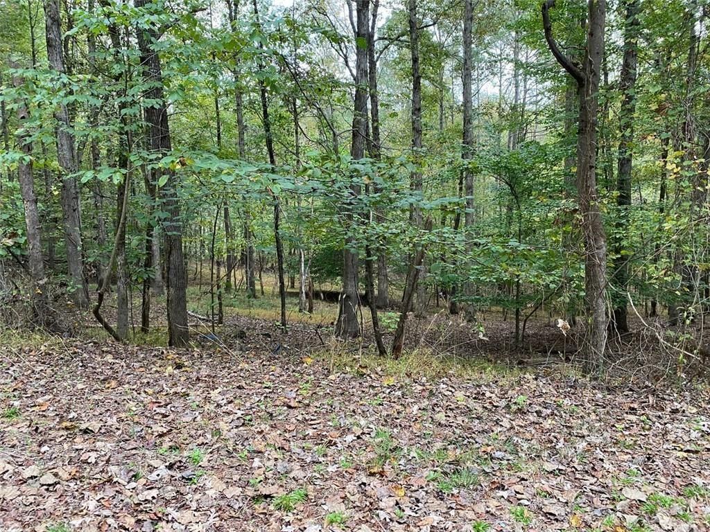 399 Buck Trail, Hoschton, GA 30548