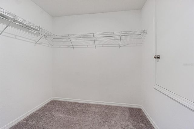 13009 MAJESTIC GARDEN LANE, Riverview, FL 33579