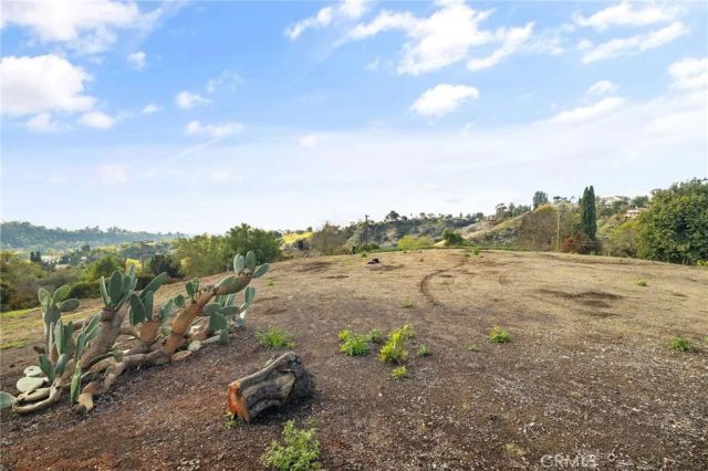 2264 Papaya, La Habra Heights, CA 90631